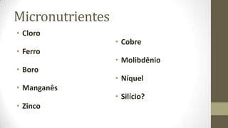 Micronutrientes
• Cloro
                  • Cobre
• Ferro
                  • Molibdênio
• Boro
                  • Níquel
• Manganês
                  • Silício?
• Zinco
 