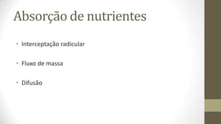 Absorção de nutrientes
• Interceptação radicular

• Fluxo de massa

• Difusão
 