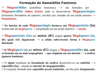 Formação do Gametófito Feminino
o Megastróbilos (estróbilos femininos) → são formados por
Megasporofilos (folhas férteis) onde se desenvolvem Megasporângios
(estruturas formadoras de esporos), envoltos por camadas de um tecido protetor →
integumento.
o No interior de cada Megasporângio forma-se um Megasporócito (2n)
(célula-mãe do megásporo) → mergulhado em um tecido nutritivo → nucelo.
o Megasporócito (2n) por meiose (R!) origina quatro Megásporos (n),
dos quais três degeneram → a célula sobrevivente forma o Megásporo
funcional.
o O Megásporo (n) por mitose (E!) origina o Megagametófito (n), onde
se formam um ou mais arquegônios → que originam em seu interior → a oosfera
(gameta feminino).
o O zigoto resultante da fecundação da oosfera desenvolve-se em embrião – o
esporófito (2n) – situado no interior do megagametófito.
o O conjunto formado pelo esporófito jovem (embrião), envolto pelo integumento,
 