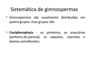 Sistemática de gimnospermas
• Gimnospermas são usualmente distribuídas em
quatro grupos. Esse grupos são:
• Conipherophyta - os pinheiros, as araucárias
(pinheiro-do-paraná), as sequóias, ciprestes e
plantas semelhantes;
 