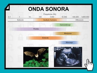 ONDA SONORA
 