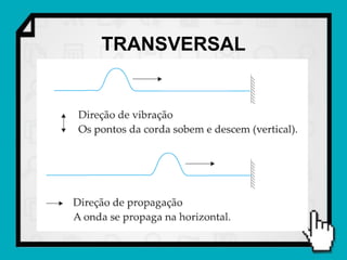 TRANSVERSAL
 