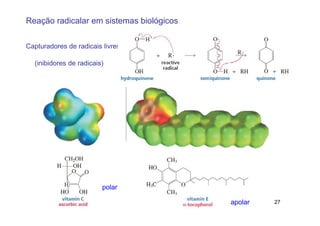 Reação radicalar em sistemas biológicos

Capturadores de radicais livress

  (inibidores de radicais)




                         polar

                                          apolar   27
 