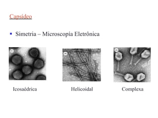 Capsídeo
 Simetria – Microscopía Eletrônica
Icosaédrica Helicoidal Complexa
 