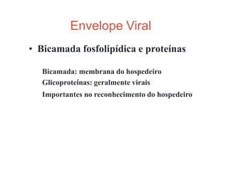 • Bicamada fosfolipídica e proteínas
Bicamada: membrana do hospedeiro
Glicoproteínas: geralmente virais
Importantes no reconhecimento do hospedeiro
Envelope Viral
 