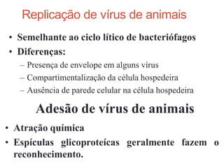 • Semelhante ao ciclo lítico de bacteriófagos
• Diferenças:
– Presença de envelope em alguns vírus
– Compartimentalização da célula hospedeira
– Ausência de parede celular na célula hospedeira
Adesão de vírus de animais
• Atração química
• Espículas glicoproteícas geralmente fazem o
reconhecimento.
Replicação de vírus de animais
 