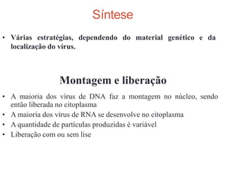 Montagem e liberação
• A maioria dos vírus de DNA faz a montagem no núcleo, sendo
então liberada no citoplasma
• A maioria dos vírus de RNA se desenvolve no citoplasma
• A quantidade de partículas produzidas é variável
• Liberação com ou sem lise
• Várias estratégias, dependendo do
localização do vírus.
material genético e da
Síntese
 