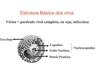 Envelope
Capsídeo
Ácido Nucléico
Matriz Protéica
Nucleocapsídeo
Estrutura Básica dos vírus
Vírion = partícula viral completa, ou seja, infecciosa
 