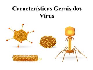 Características Gerais dos
Vírus
 