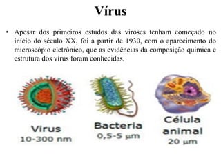 Características gerais dos vírus- Estrutura, ciclos | PDF