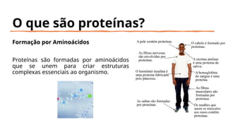 O que são proteínas?
Formação por Aminoácidos
Proteínas são formadas por aminoácidos
que se unem para criar estruturas
complexas essenciais ao organismo.
 