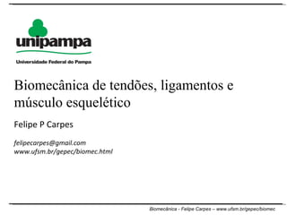 Felipe P Carpes [email_address] www.ufsm.br/gepec/biomec.html  Biomecânica de tendões, ligamentos e músculo esquelético 