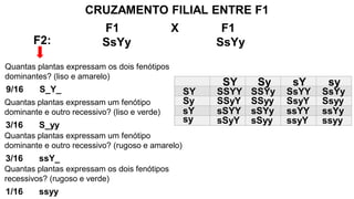 F1 X F1
SsYy SsYy
CRUZAMENTO FILIAL ENTRE F1
9/16
F2:
Quantas plantas expressam os dois fenótipos
dominantes? (liso e amarelo)
S_Y_
3/16
Quantas plantas expressam um fenótipo
dominante e outro recessivo? (liso e verde)
S_yy
3/16
Quantas plantas expressam um fenótipo
dominante e outro recessivo? (rugoso e amarelo)
ssY_
1/16
Quantas plantas expressam os dois fenótipos
recessivos? (rugoso e verde)
ssyy
 