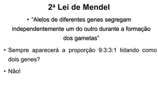2a Lei de Mendel
• “Alelos de diferentes genes segregam
independentemente um do outro durante a formação
dos gametas”
• Sempre aparecerá a proporção 9:3:3:1 lidando como
dois genes?
• Não!
 