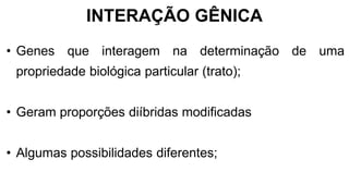 INTERAÇÃO GÊNICA
• Genes que interagem na determinação de uma
propriedade biológica particular (trato);
• Geram proporções diíbridas modificadas
• Algumas possibilidades diferentes;
 