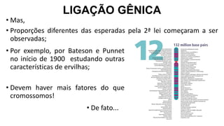 • Mas,
• Proporções diferentes das esperadas pela 2ª lei começaram a ser
observadas;
LIGAÇÃO GÊNICA
• Por exemplo, por Bateson e Punnet
no início de 1900 estudando outras
características de ervilhas;
• Devem haver mais fatores do que
cromossomos!
• De fato...
 