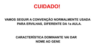 CUIDADO!
VAMOS SEGUIR A CONVENÇÃO NORMALMENTE USADA
PARA ERVILHAS, DIFERENTE DA 1a AULA.
CARACTERÍSTICA DOMINANTE VAI DAR
NOME AO GENE
 