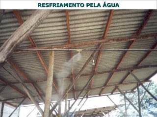 RREESSFFRRIIAAMMEENNTTOO PPEELLAA ÁÁGGUUAA 
 