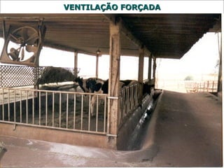 VVEENNTTIILLAAÇÇÃÃOO FFOORRÇÇAADDAA 
 