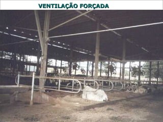VVEENNTTIILLAAÇÇÃÃOO FFOORRÇÇAADDAA 
 