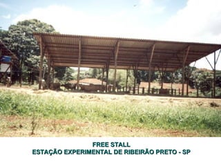 FFRREEEE SSTTAALLLL 
EESSTTAAÇÇÃÃOO EEXXPPEERRIIMMEENNTTAALL DDEE RRIIBBEEIIRRÃÃOO PPRREETTOO -- SSPP 
 