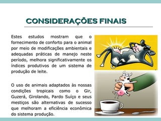 CCOONNSSIIDDEERRAAÇÇÕÕEESS FFIINNAAIISS 
EEsstteess eessttuuddooss mmoossttrraamm qquuee oo 
ffoorrnneecciimmeennttoo ddee ccoonnffoorrttoo ppaarraa oo aanniimmaall 
ppoorr mmeeiioo ddee mmooddiiffiiccaaççõõeess aammbbiieennttaaiiss ee 
aaddeeqquuaaddaass pprrááttiiccaass ddee mmaanneejjoo nneessttee 
ppeerrííooddoo,, mmeellhhoorraa ssiiggnniiffiiccaattiivvaammeennttee ooss 
íínnddiicceess pprroodduuttiivvooss ddee uumm ssiisstteemmaa ddee 
pprroodduuççããoo ddee lleeiittee.. 
OO uussoo ddee aanniimmaaiiss aaddaappttaaddooss ààss nnoossssaass 
ccoonnddiiççõõeess ttrrooppiiccaaiiss ccoommoo oo GGiirr,, 
GGuuzzeerráá,, GGiirroollaannddoo,, PPaarrddoo SSuuííççoo ee sseeuuss 
mmeessttiiççooss ssããoo aalltteerrnnaattiivvaass ddee ssuucceessssoo 
qquuee mmeellhhoorraamm aa eeffiicciiêênncciiaa eeccoonnôômmiiccaa 
ddoo ssiisstteemmaa pprroodduuççããoo.. 
 
