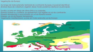 Vegetação da Europa
Ao longo de toda extensão territorial do continente Europeu é possível identificar
diversos tipos de cobertura vegetal, desse modo podemos destacar as principais:
Tundra: ocorre em áreas de clima ártico ou subpolar.
Floresta boreal ou coníferas: se apresentam nas regiões ao sul do continente.
Floresta temperada: é encontrada ao sul da floresta boreal.
Estepes: ao sul da floresta temperada.
Vegetação mediterrânea: ocorre em toda extensão sul da Europa
 