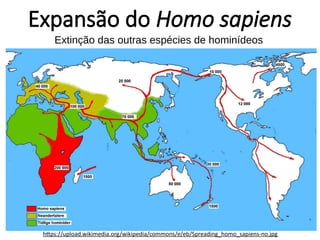 Expansão do Homo sapiens
https://upload.wikimedia.org/wikipedia/commons/e/eb/Spreading_homo_sapiens-no.jpg
Extinção das outras espécies de hominídeos
 