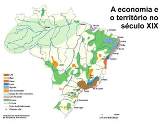A economia e
o território no
século XIX
 