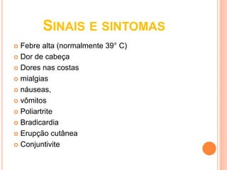 SINAIS E SINTOMAS
 Febre alta (normalmente 39° C)
 Dor de cabeça
 Dores nas costas
 mialgias
 náuseas,
 vômitos
 Poliartrite
 Bradicardia
 Erupção cutânea
 Conjuntivite
 