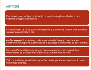 VETOR
É possível isolar ambos os vírus de mosquitos do gênero Aedes e das
espécies aegypti e albopictus
Só transmitem os vírus quando infectados e, através da picada, que acontece
normalmente durante o dia.
Aedes aegypti: transmissor mais importante da dengue, mas também
transmite Chikungunya. Domesticado e adaptado ao ambiente do ser humano.
Faz ingestões múltiplas de sangue durante um único ciclo reprodutivo,
aumentando as chances de se infectar e de transmitir os vírus.
Ciclo reprodutivo sensível às variações de temperaturas: transmissão mais
nos meses quentes.
 