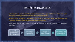 Espécies invasoras
• Introdução da perca-do-Nilo (Lates niloticus) no Lago Vitória no início de 1960
extinguiu 200 espécies de ciclídeos (havia 600 espécies)
• Maioria dos ciclídeos é endêmica do local, e se havia 80% de biomassa de
ciclídeos, hoje há 80% de biomassa de perca-do-Nilo
• Alteração do habitat pode aumentar a vulnerabilidade à invasão por espécies
exóticas:
Diminuição de
90% floresta
seca no Havaí
Gramíneas
invasoras
Ameaças às
plantas locais
Gramíneas são
combustível
 
