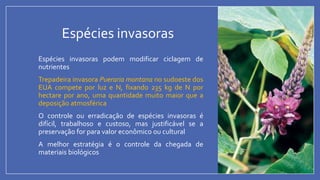 Espécies invasoras
• Espécies invasoras podem modificar ciclagem de
nutrientes
• Trepadeira invasora Pueraria montana no sudoeste dos
EUA compete por luz e N, fixando 235 kg de N por
hectare por ano, uma quantidade muito maior que a
deposição atmosférica
• O controle ou erradicação de espécies invasoras é
difícil, trabalhoso e custoso, mas justificável se a
preservação for para valor econômico ou cultural
• A melhor estratégia é o controle da chegada de
materiais biológicos
 