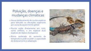 Poluição, doenças e
mudanças climáticas
• Houve deslocamento de muitas espécies
para latitudes ou elevações superiores
por causa do aquecimento global
• Poucas estão diretamente em risco,
como anfíbios, e em especial duas
espécies de répteis (Sceloporus)
• Ritmo acelerado do aumento de
temperatura pode exceder a capacidade
de deslocamento e adaptação
 