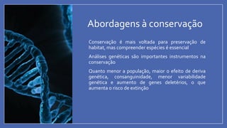 Abordagens à conservação
• Conservação é mais voltada para preservação de
habitat, mas compreender espécies é essencial
• Análises genéticas são importantes instrumentos na
conservação
• Quanto menor a população, maior o efeito de deriva
genética, consanguinidade, menor variabilidade
genética e aumento de genes deletérios, o que
aumenta o risco de extinção
 