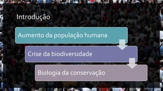 Introdução
Aumento da população humana
Crise da biodiversidade
Biologia da conservação
 