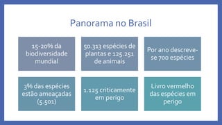 Panorama no Brasil
15-20% da
biodiversidade
mundial
50.313 espécies de
plantas e 125.251
de animais
Por ano descreve-
se 700 espécies
3% das espécies
estão ameaçadas
(5.501)
1.125 criticamente
em perigo
Livro vermelho
das espécies em
perigo
 