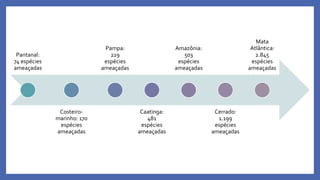 Pantanal:
74 espécies
ameaçadas
Costeiro-
marinho: 170
espécies
ameaçadas
Pampa:
229
espécies
ameaçadas
Caatinga:
481
espécies
ameaçadas
Amazônia:
503
espécies
ameaçadas
Cerrado:
1.199
espécies
ameaçadas
Mata
Atlântica:
2.845
espécies
ameaçadas
 