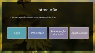 Introdução
• Somos dependentes dos sistemas ecossistêmicos
Água Polinização
Manutenção
dos solos
Espiritualidade
 