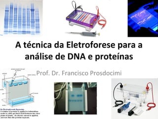 A técnica da Eletroforese para a
  análise de DNA e proteínas
     Prof. Dr. Francisco Prosdocimi
 