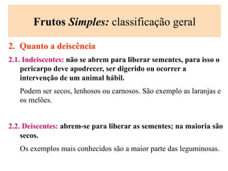 Frutos Simples: classificação geral
2. Quanto a deiscência
2.1. Indeiscentes: não se abrem para liberar sementes, para isso o
pericarpo deve apodrecer, ser digerido ou ocorrer a
intervenção de um animal hábil.
Podem ser secos, lenhosos ou carnosos. São exemplo as laranjas e
os melões.
2.2. Deiscentes: abrem-se para liberar as sementes; na maioria são
secos.
Os exemplos mais conhecidos são a maior parte das leguminosas.
 