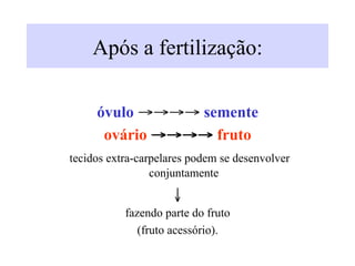 Após a fertilização:
óvulo →→→→ semente
ovário →→→→ fruto
tecidos extra-carpelares podem se desenvolver
conjuntamente
↓
fazendo parte do fruto
(fruto acessório).
 