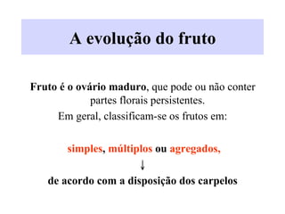 A evolução do fruto
Fruto é o ovário maduro, que pode ou não conter
partes florais persistentes.
Em geral, classificam-se os frutos em:
simples, múltiplos ou agregados,
↓
de acordo com a disposição dos carpelos
 