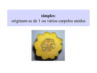 simples:
originam-se de 1 ou vários carpelos unidos
 