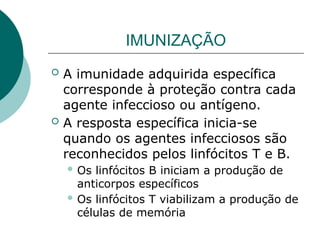 IMUNIZAÇÃO
 A imunidade adquirida específica
corresponde à proteção contra cada
agente infeccioso ou antígeno.
 A resposta específica inicia-se
quando os agentes infecciosos são
reconhecidos pelos linfócitos T e B.
 Os linfócitos B iniciam a produção de
anticorpos específicos
 Os linfócitos T viabilizam a produção de
células de memória
 