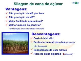 Silagem de cana de açúcar
 Alta produção de MS por área
 Alta produção de NDT
 Maior facilidade operacional*
 Melhor manejo do canavial*
*Em relação à cana fornecida in natura
Vantagens:
Desvantagens:
($)
 Custo inicial alto
 Perdas fermentativas altas (produção
ção de etanol)
 Necessidade de usar aditivo
 Fibra de baixa digestão ( consumo)
 