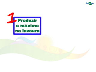 Produzir
o máximo
na lavoura
1
 