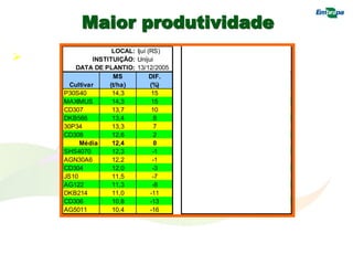 Maior produtividade
 Uso de híbrido adaptado
LOCAL: Ijuí (RS) REDE SUL
INSTITUIÇÃO: Unijui 2005-2006
DATA DE PLANTIO: 13/12/2005 Média de 5 locais
MS DIF. MS DIF.
Cultivar (t/ha) (%) Cultivar (t/ha) (%)
P30S40 14,3 15 SHS4070 13,5 12
MAXIMUS 14,3 15 30P34 13,5 12
CD307 13,7 10 P30S40 13,2 9
DKB566 13,4 8 MAXIMUS 13,1 8
30P34 13,3 7 DKB214 12,6 4
CD308 12,6 2 DKB566 12,5 3
Média 12,4 0 Média 12,1 0
SHS4070 12,3 -1 CD308 11,8 -2
AGN30A6 12,2 -1 CD307 11,7 -3
CD304 12,0 -3 AGN30A6 11,7 -4
JS10 11,5 -7 JS10 11,5 -5
AG122 11,3 -8 AG122 11,3 -7
DKB214 11,0 -11 CD304 11,1 -8
CD306 10,8 -13 AG5011 10,9 -10
AG5011 10,4 -16 CD306 10,9 -10
 