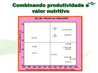 Combinando produtividade e
valor nutritivo
Ijuí, RS - Plantio em 13/Dez/2005
Potencial de produção (kg de leite/t consumida de MS da silagem
12
14
500
13
15
11
10
460
440 480 520 540 560 600
580 640
620
JS10
AG122
AG5011
CD306
4070
DKB214
CD308
30P34
DKB566
AGN30A6
CD304
MAXIMUS
30S40
CD307
Produtividade
(t
de
MS
por
ha)
 