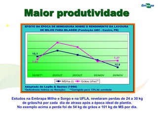 Maior produtividade
 Época de plantio
EFEITO DA ÉPOCA DE SEMEADURA SOBRE O RENDIMENTO DA LAVOURA
DE MILHO PARA SILAGEM (Fundação ABC - Castro, PR)
Adaptado de Leplin & Santos (1996)
*Deficiência hídrica na floração; **Corrigido para 13% de umidade
MS/ha (t) Grãos (t/ha)**
20/SET* 05/OUT 20/OUT 05/NOV 20/NOV
7,45
15,1
12,8
7,27
Estudos na Embrapa Milho e Sorgo e na UFLA, revelaram perdas de 24 a 30 kg
de grãos/há por cada dia de atraso após a época ideal de plantio.
No exemplo acima a perda foi de 54 kg de grãos e 101 kg de MS por dia.
 